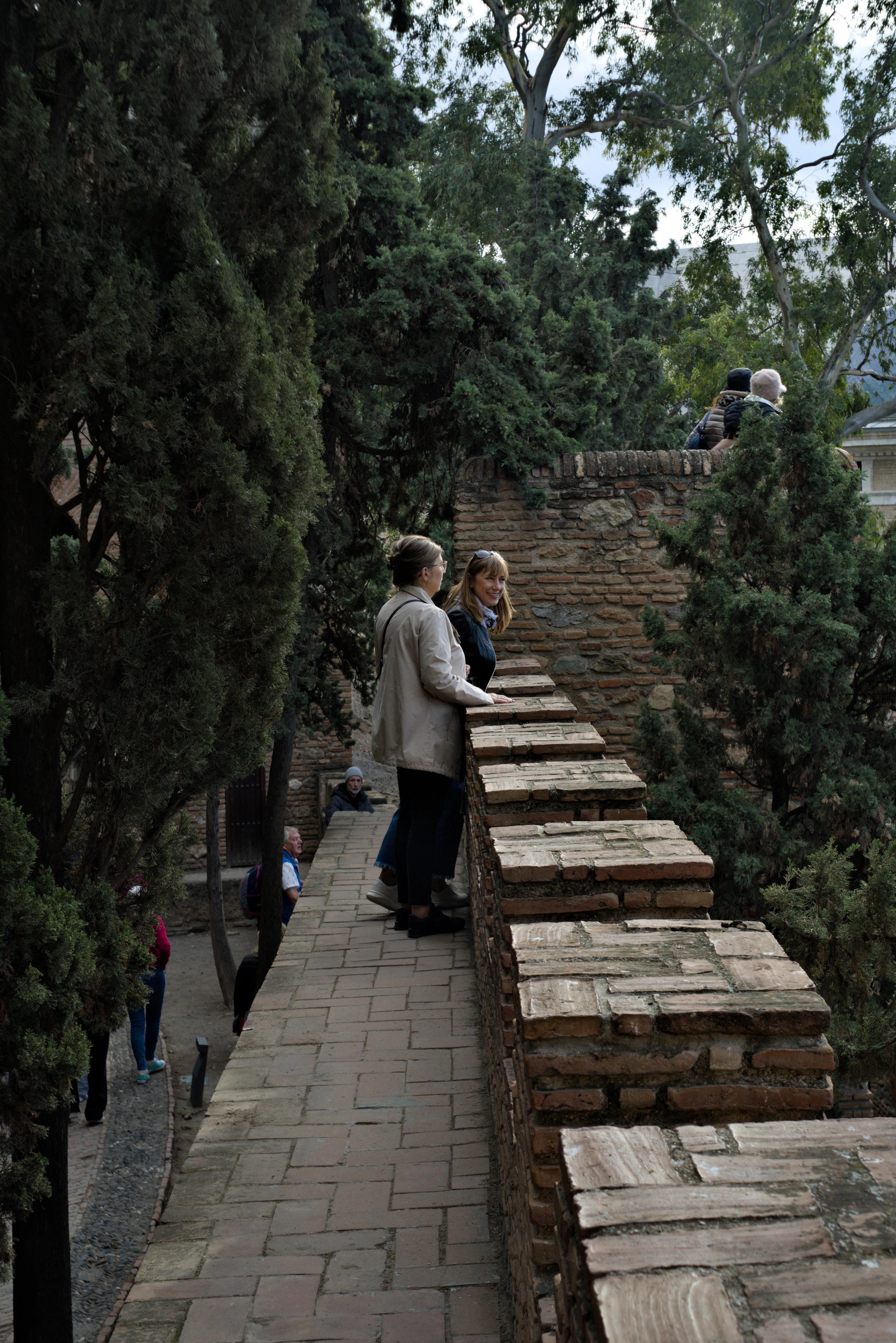 Meyer-Optik Görlitz Primagon 35mm f4.5 (M42) - _I4A7243.webp